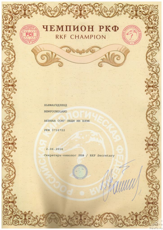 Фото: ньюфаундленд Аквиан Сонг Леди Ин Блэк