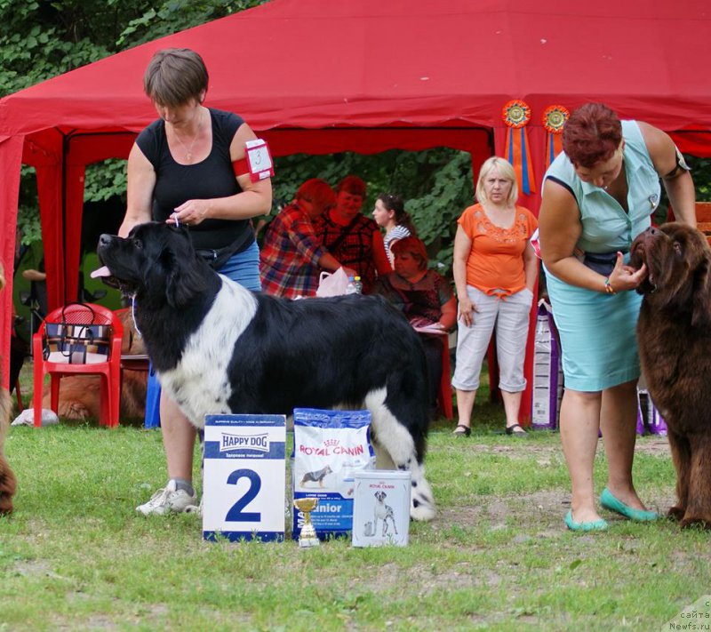 Фотография № 210182