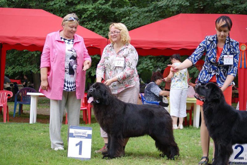 Фотография № 210183