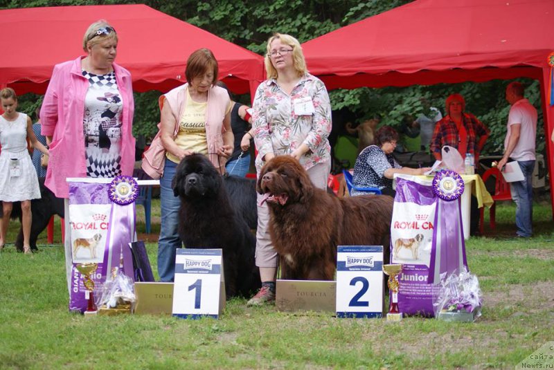 Фотография № 210186