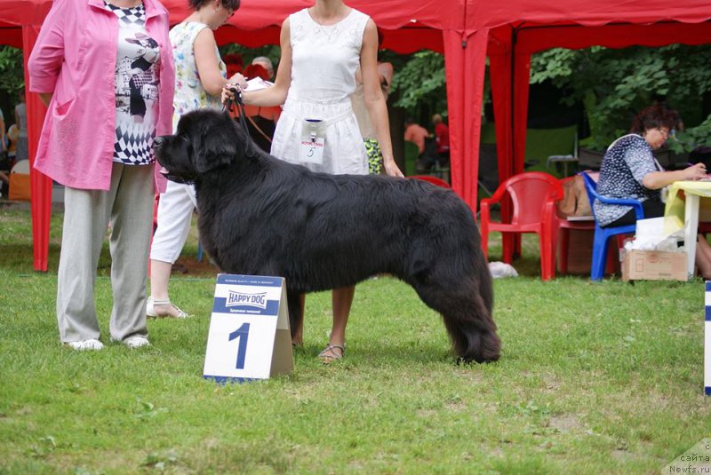 Фотография № 210187