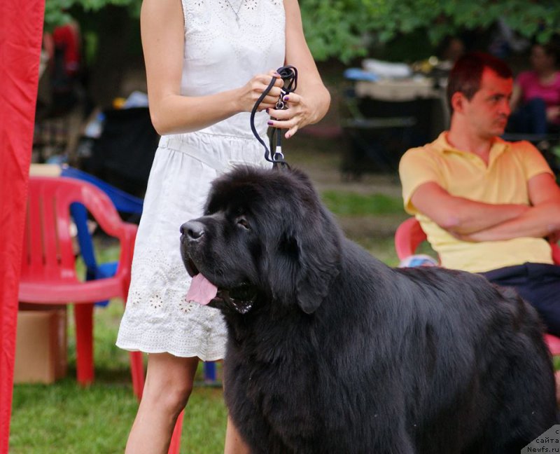 Фотография № 210188