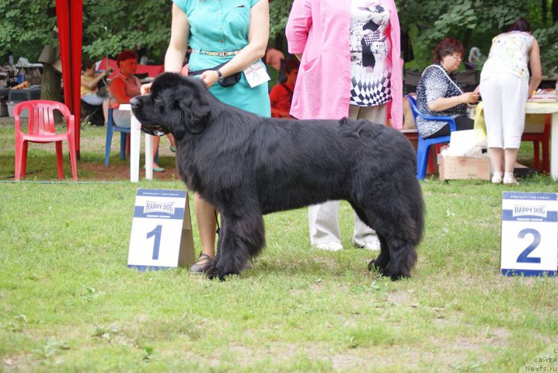 Фотография № 210189