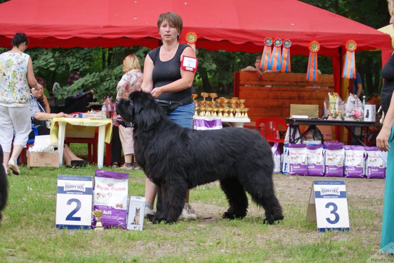 Фотография № 210190