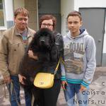 Фото: ньюфаундленд Сириус Большой Пес