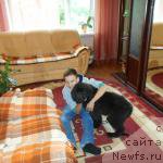 Фото: ньюфаундленд Сириус Большой Пес