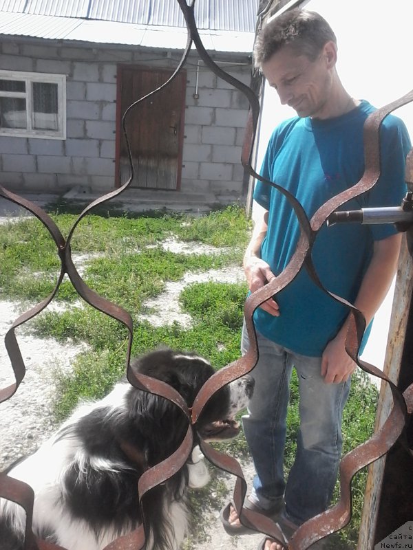 Фотография № 210226