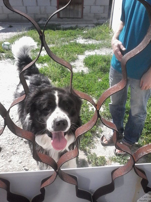 Фотография № 210227