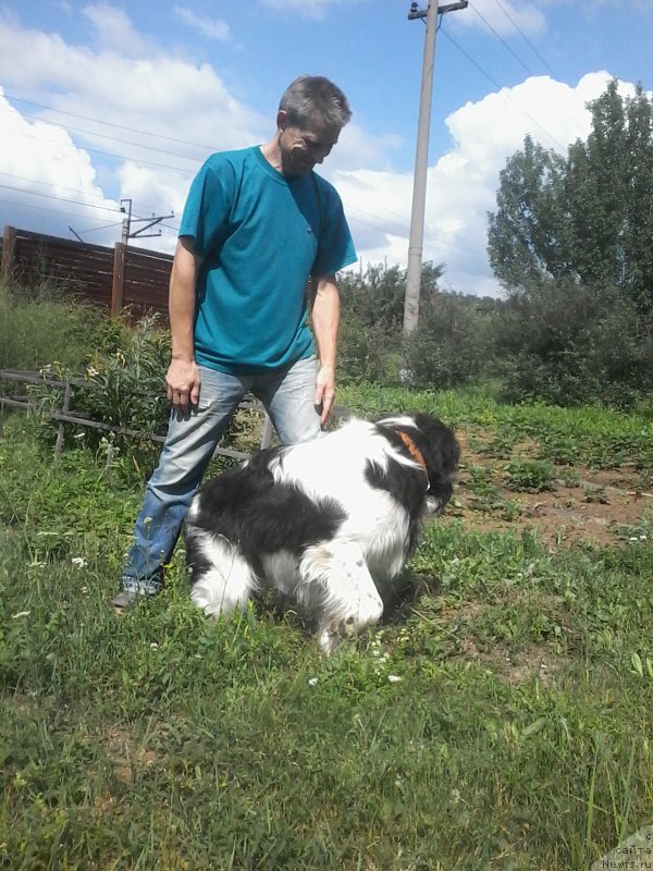 Фотография № 210228