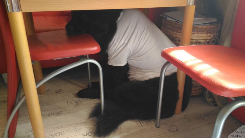 Фото: Элеонора Веселова