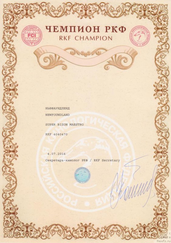 Фото: ньюфаундленд Супер Бизон Маэстро (Super Bizon Maestro)