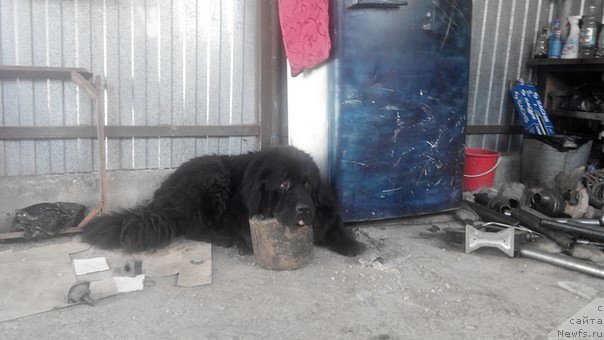 Фотография № 210248