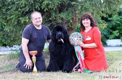 Фотография № 210268