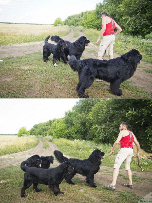 Фотография № 210272