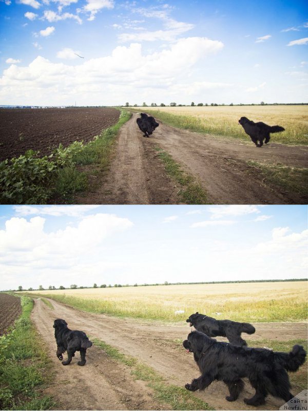 Фотография № 210273