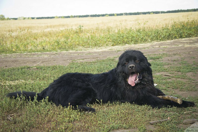 Фотография № 210279