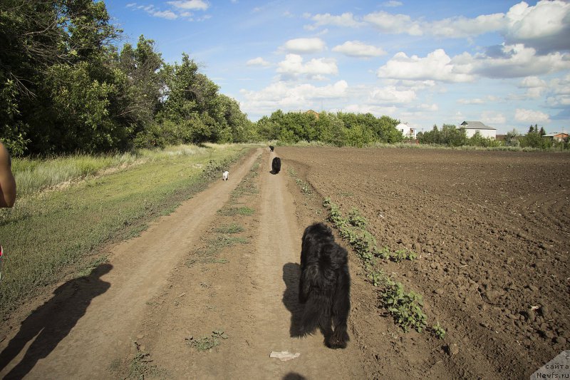 Фотография № 210281