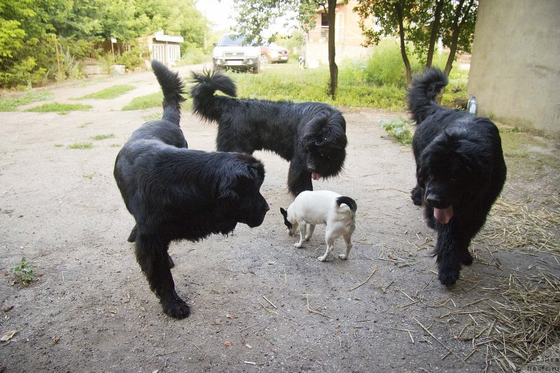 Фотография № 210284