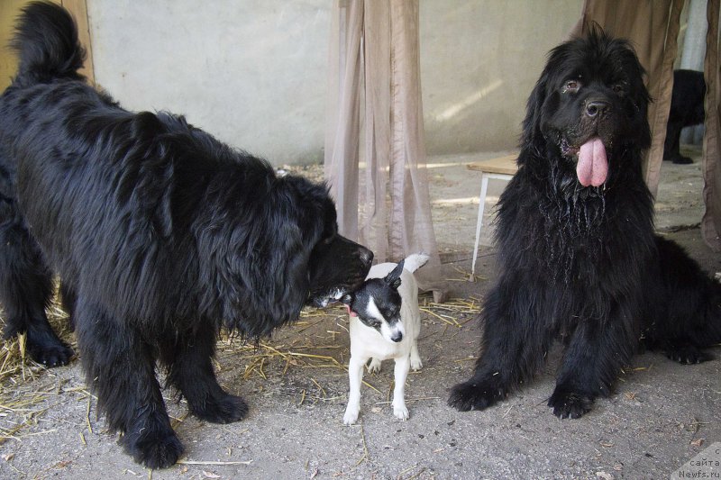 Фотография № 210285