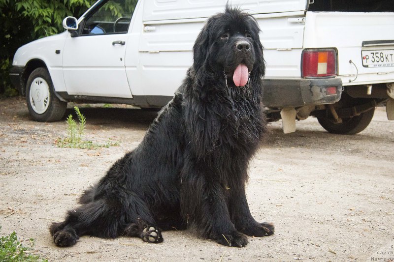 Фотография № 210288