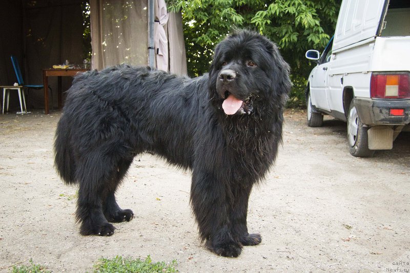 Фотография № 210289