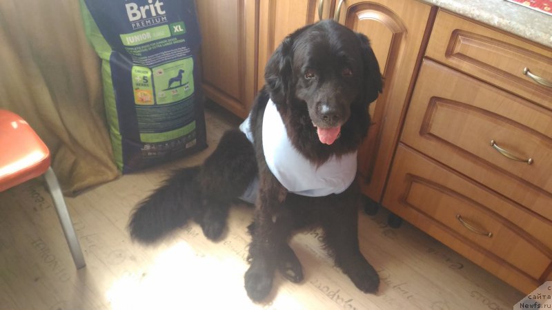 Фотография № 210290