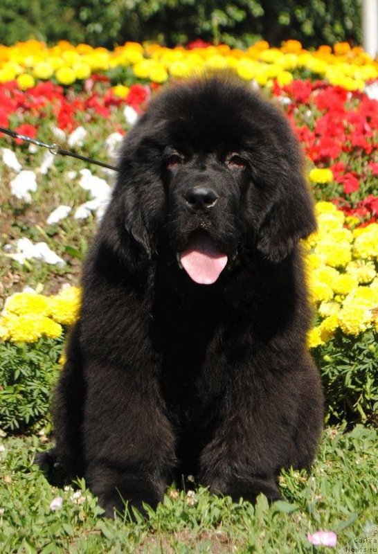 Фотография № 210292