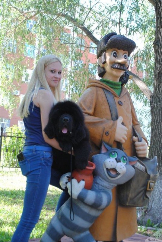 Фотография № 210296