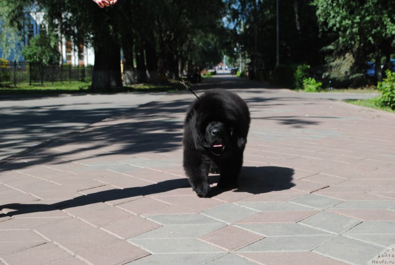 Фотография № 210305