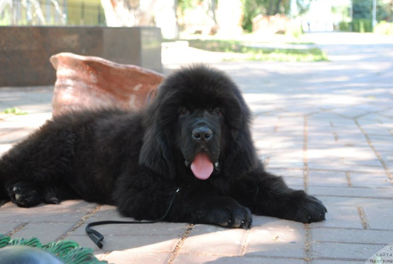 Фотография № 210307