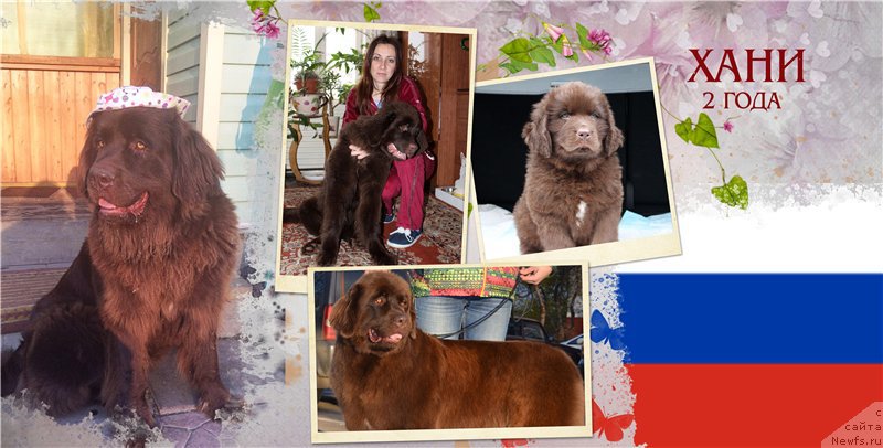 Фотография № 210332