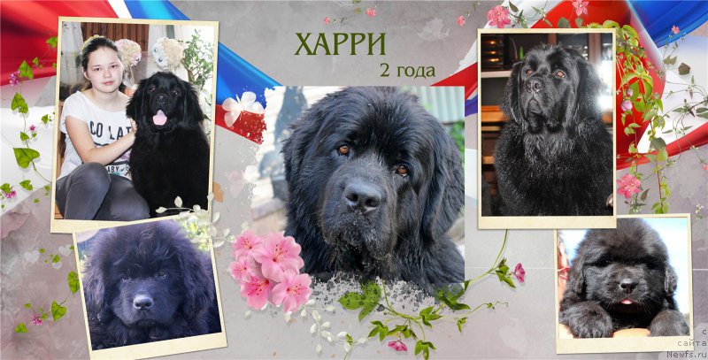 Фотография № 210334