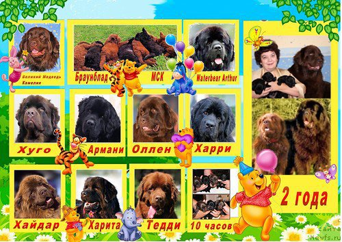 Фотография № 210335