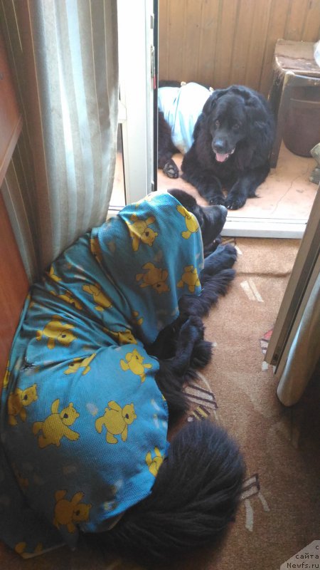 Фотография № 210343