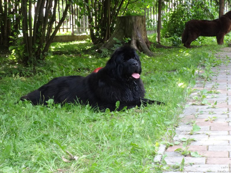 Фотография № 210359