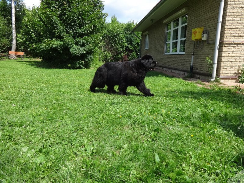 Фотография № 210361