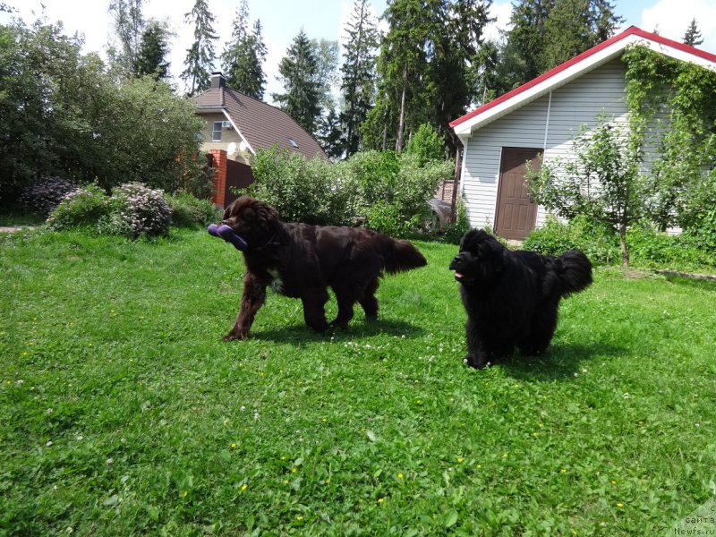 Фотография № 210362