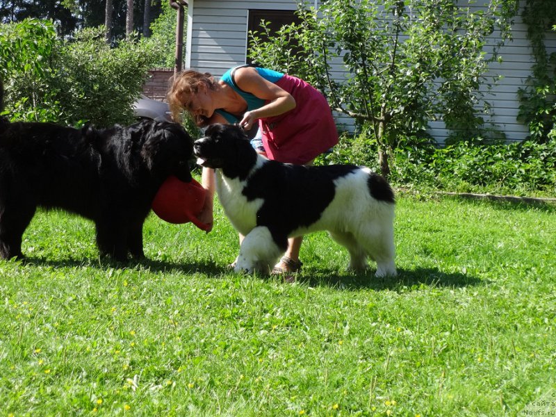 Фотография № 210365