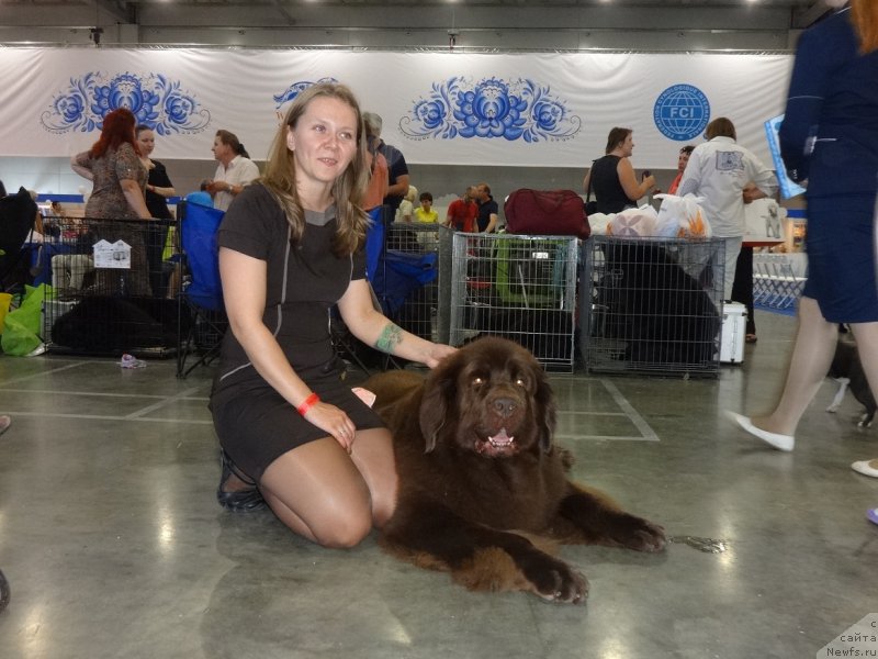 Фотография № 210367