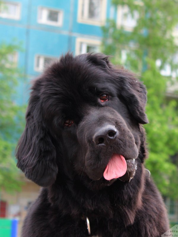 Фотография № 210383