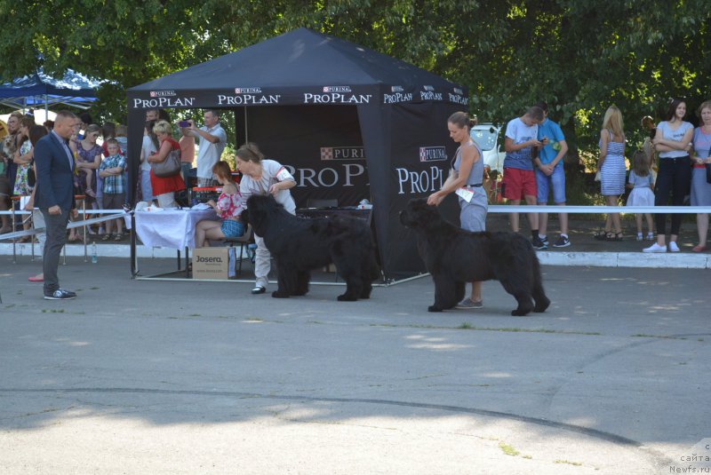 Фотография № 210386