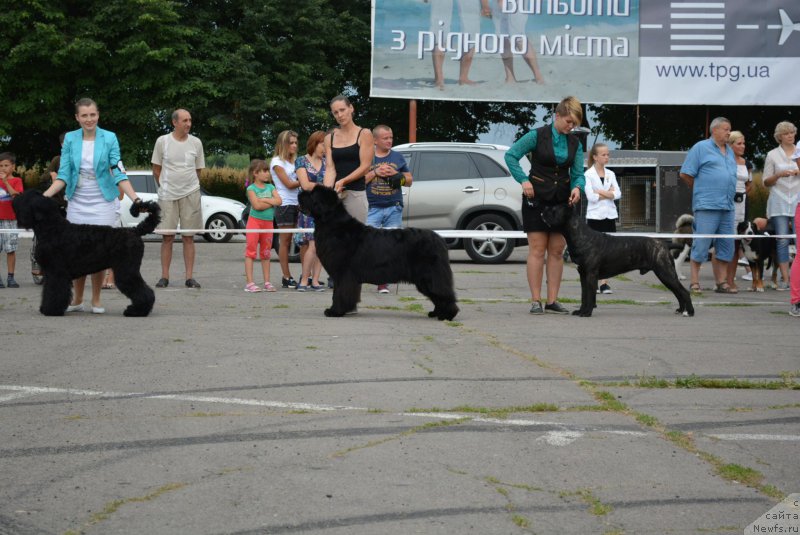 Фотография № 210387