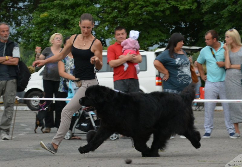 Фотография № 210388