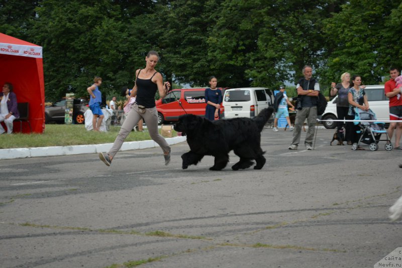 Фотография № 210389