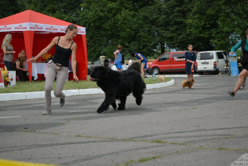 Фотография № 210390