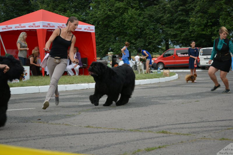 Фотография № 210391