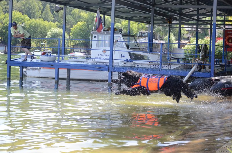 Фотография № 210393