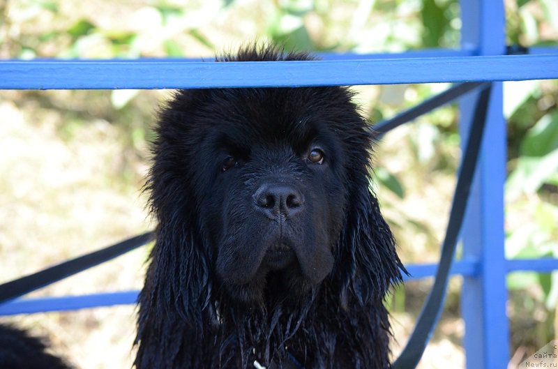 Фотография № 210396