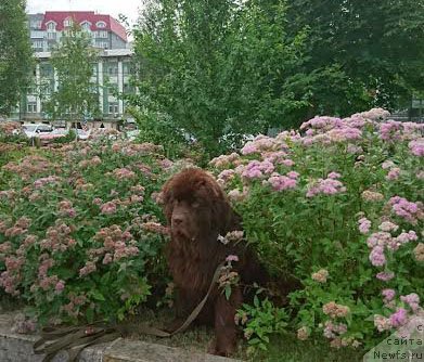 Фотография № 210400