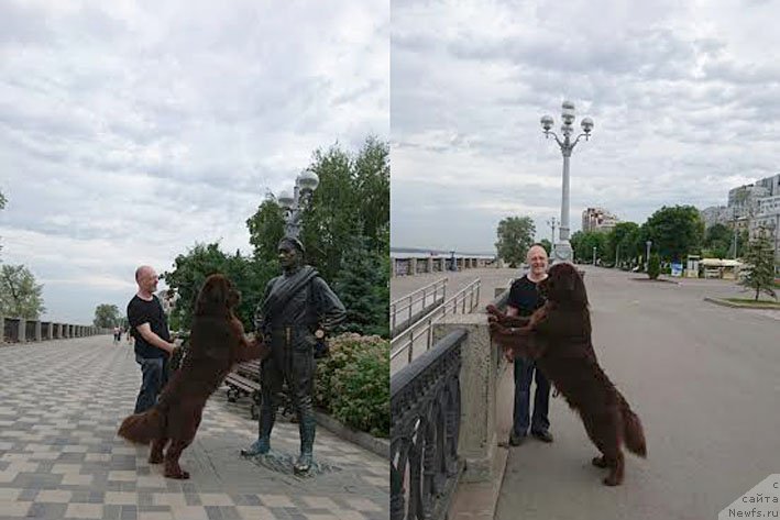 Фотография № 210401